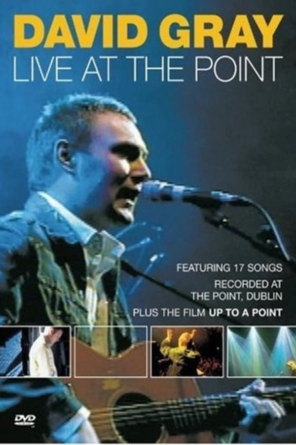 Cover of the movie David Gray: Live at the Point