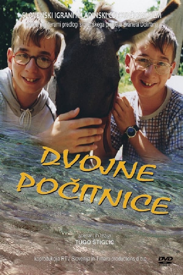 Cover of the movie Double Holidays