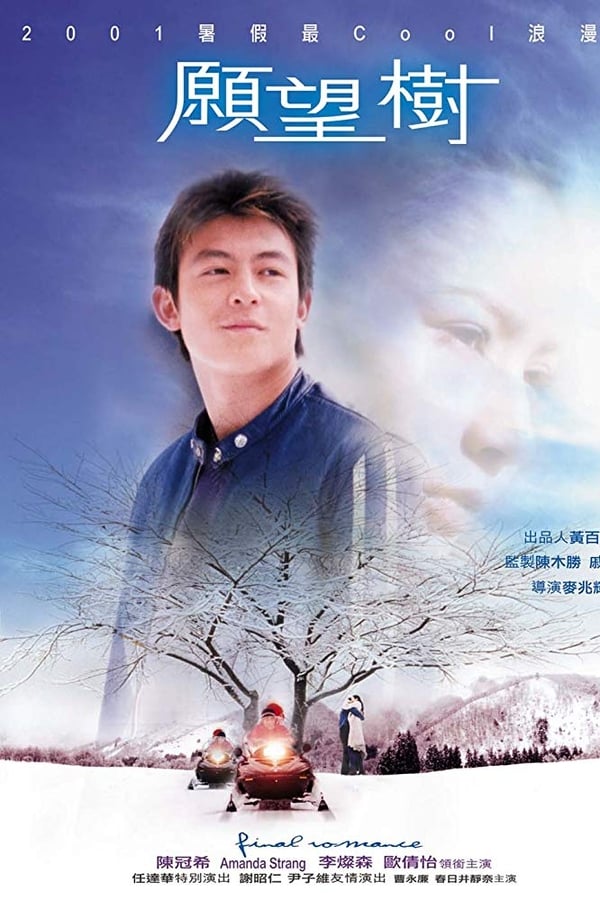Cover of the movie Final Romance