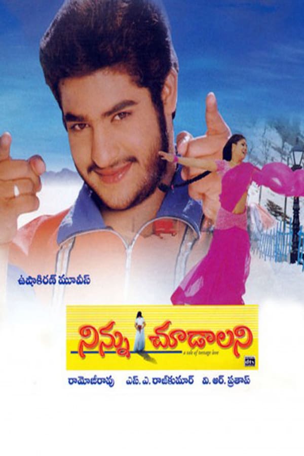 Cover of the movie Ninnu Choodalani