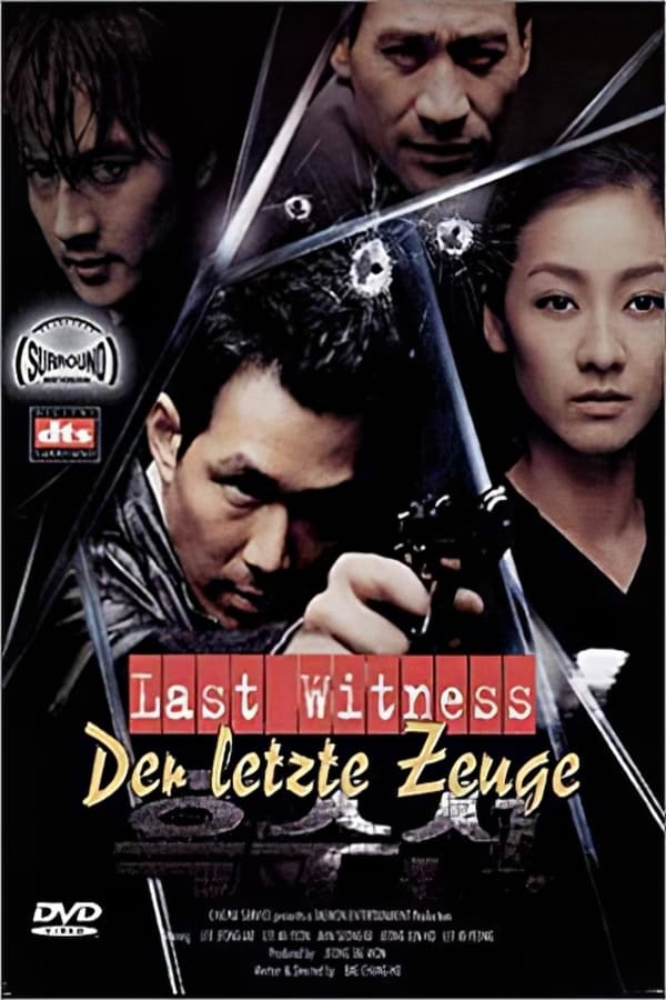 Cover of the movie The Last Witness