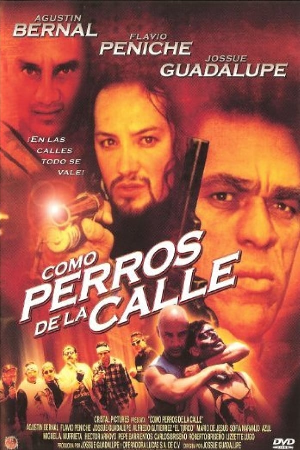 Cover of the movie Como Perros de la Calle