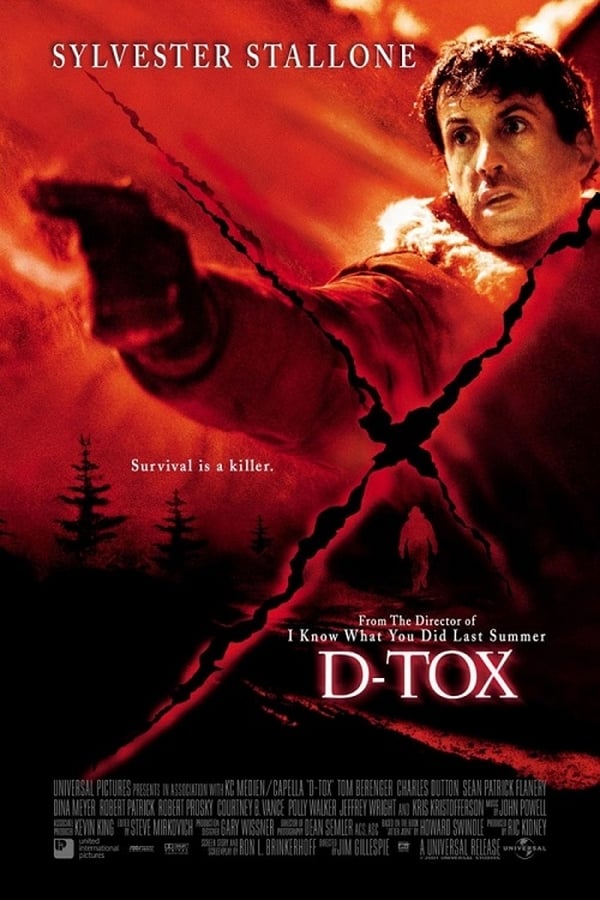 Cover of the movie D-Tox