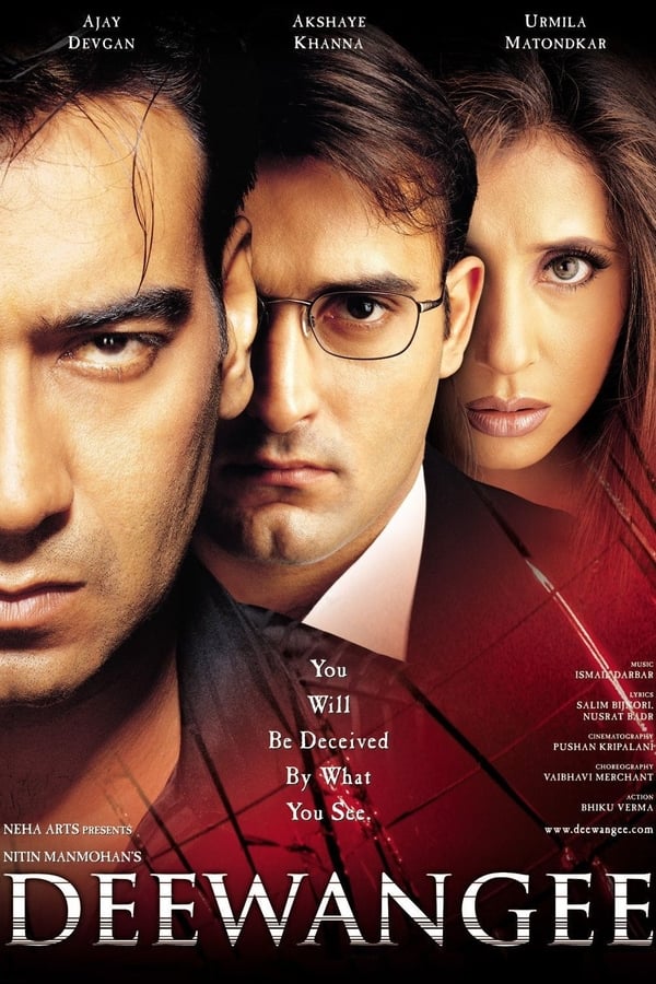 Cover of the movie Deewangee