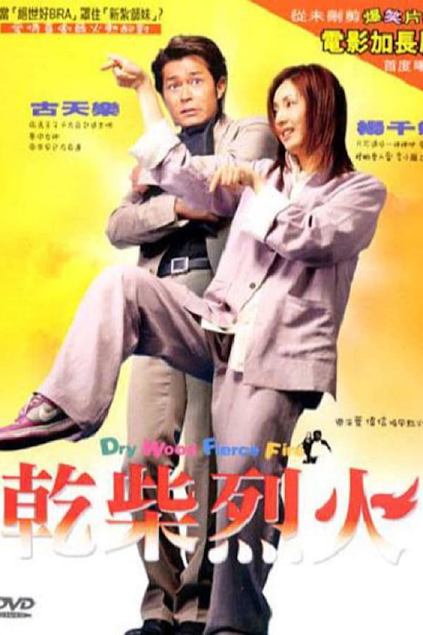 Cover of the movie Dry Wood, Fierce Fire