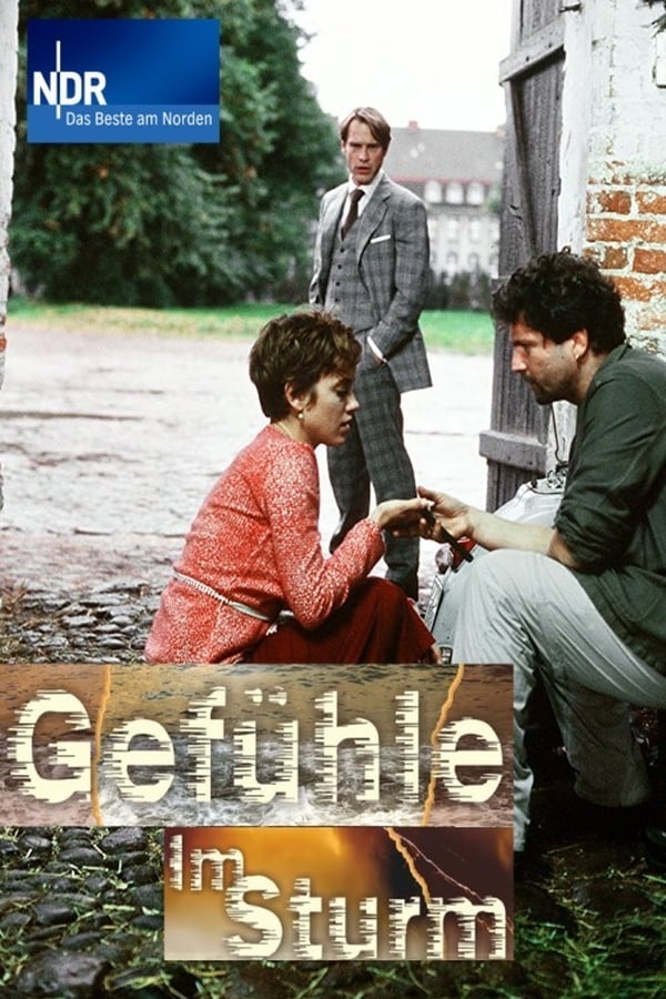 Cover of the movie Gefühle im Sturm