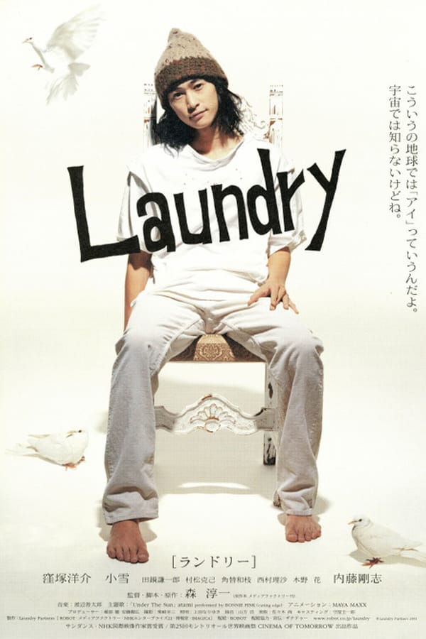 Cover of the movie Laundry