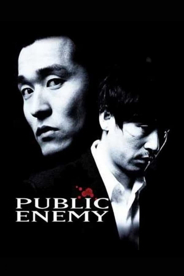Cover of the movie Public Enemy