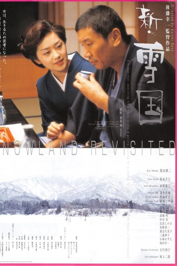Cover of the movie Snowland Revisited
