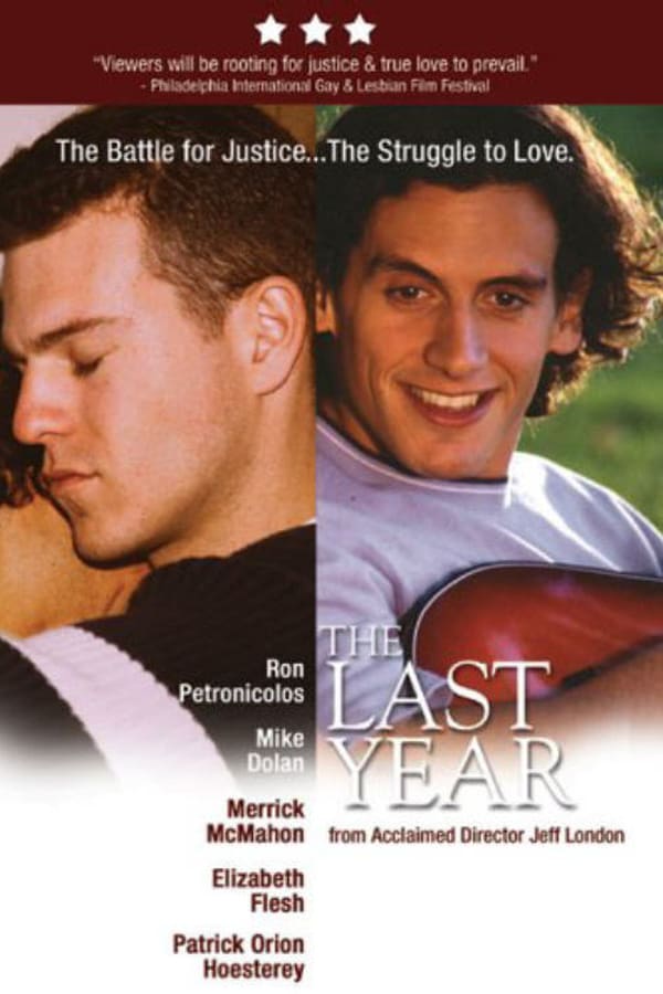 Cover of the movie The Last Year