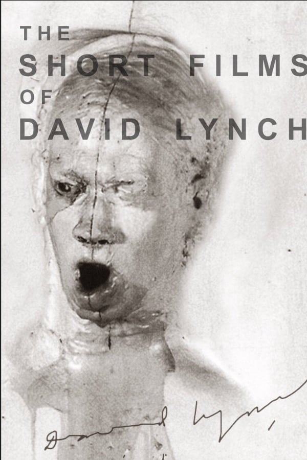 Cover of the movie The Short Films of David Lynch
