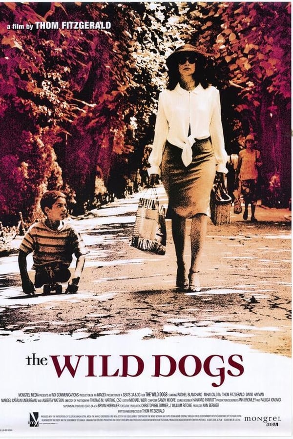 Cover of the movie The Wild Dogs