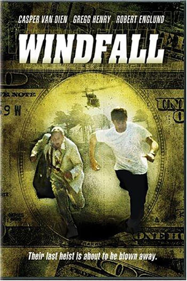 Cover of the movie Windfall