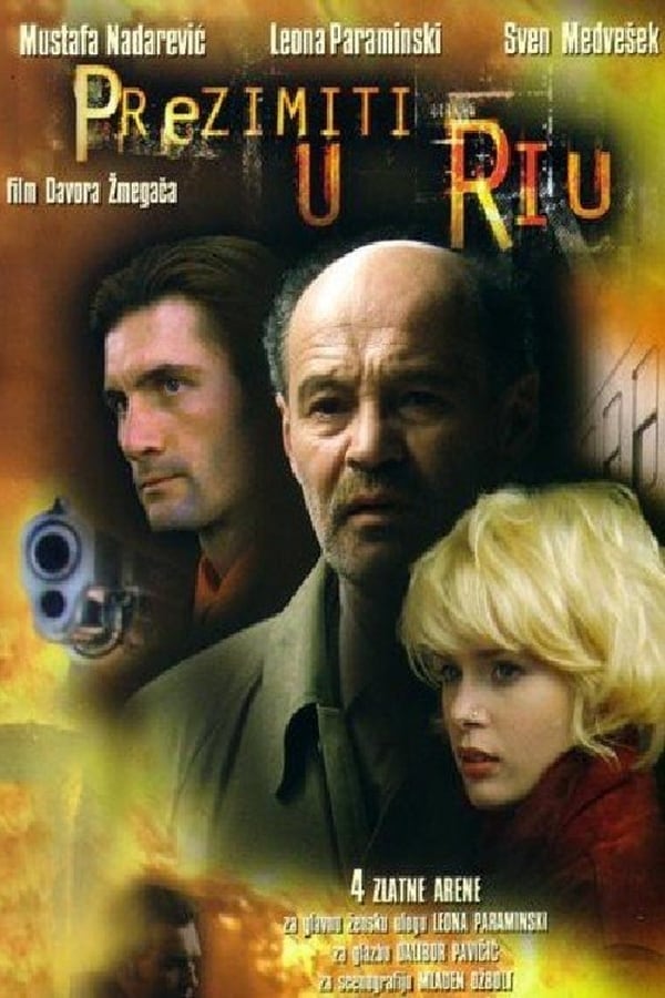 Cover of the movie Winter in Rio