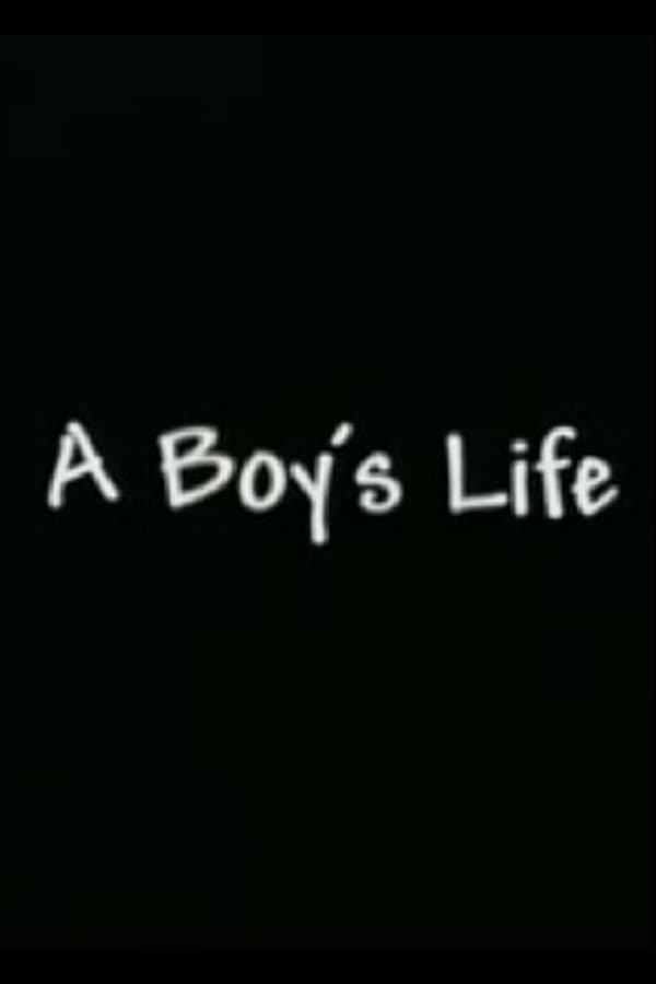 Cover of the movie A Boy's Life
