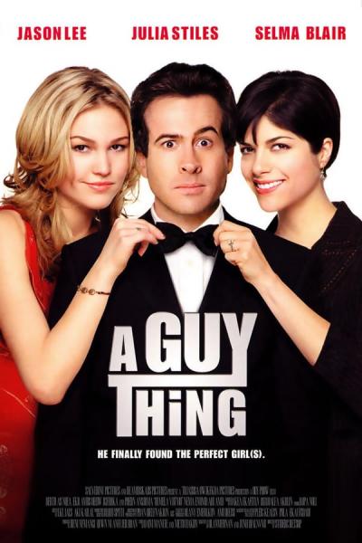 Cover of the movie A Guy Thing