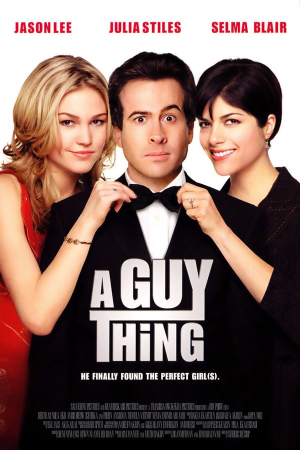Cover of the movie A Guy Thing