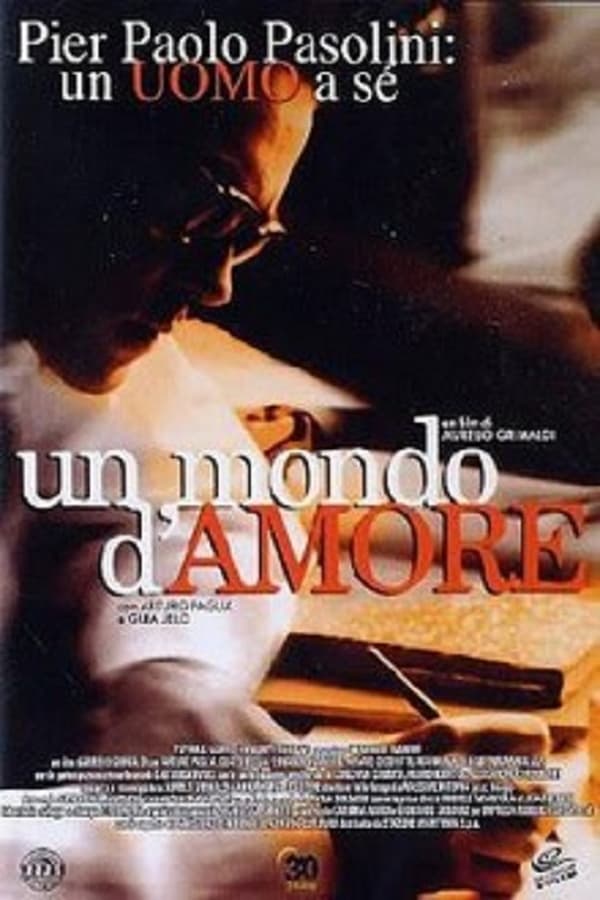 Cover of the movie A World of Love