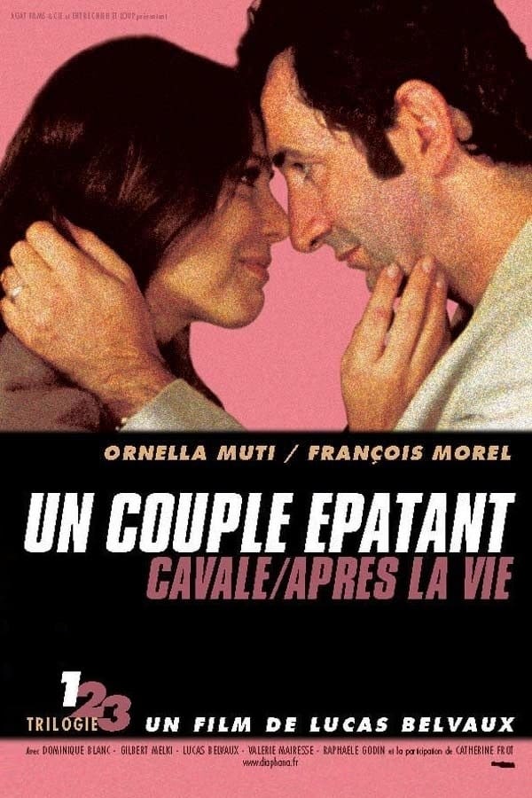 Cover of the movie An Amazing Couple