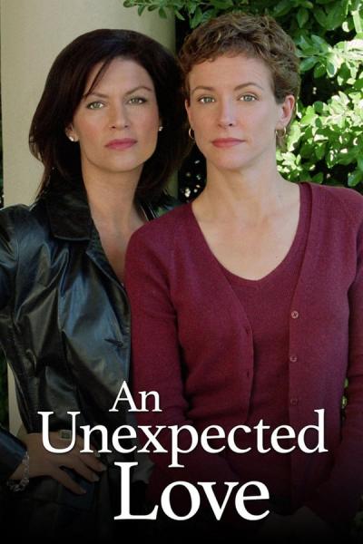 Cover of the movie An Unexpected Love