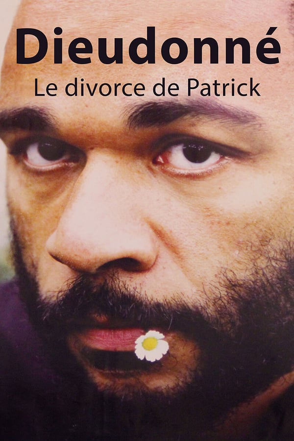 Cover of the movie Le Divorce de Patrick