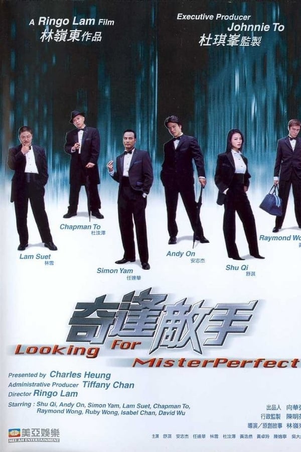 Cover of the movie Looking for Mr. Perfect