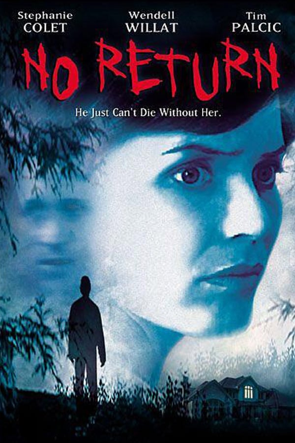 Cover of the movie No Return
