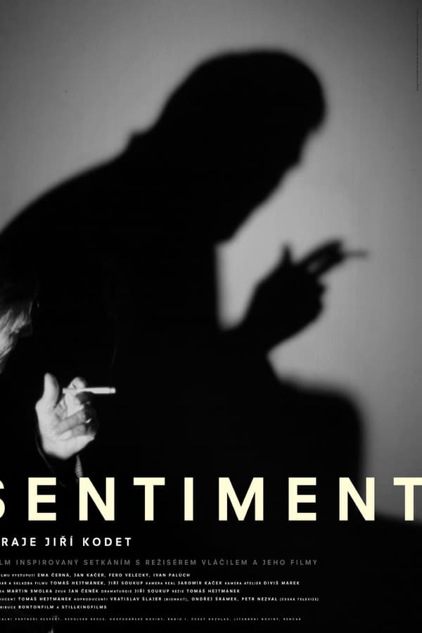Cover of the movie Sentiment
