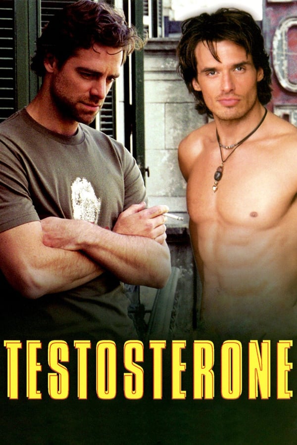 Cover of the movie Testosterone