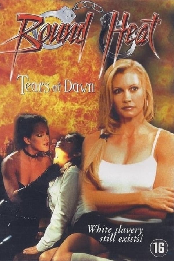 Cover of the movie The Final Victim