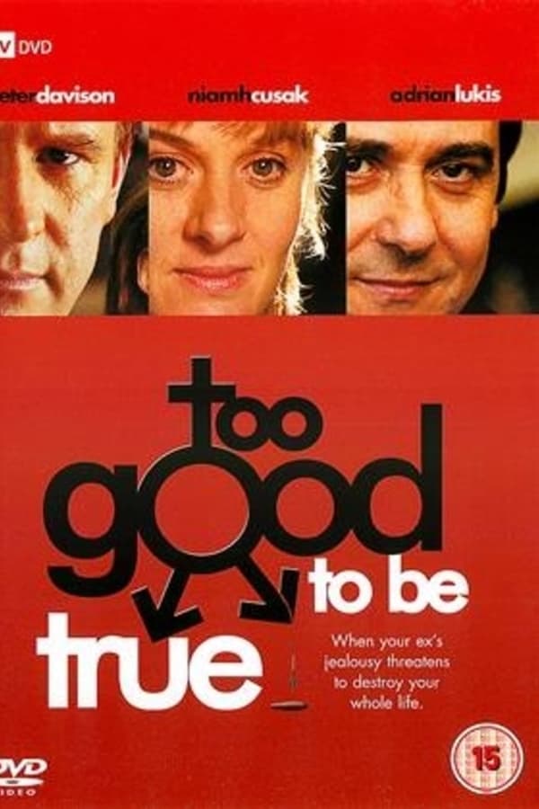 Cover of the movie Too Good to Be True