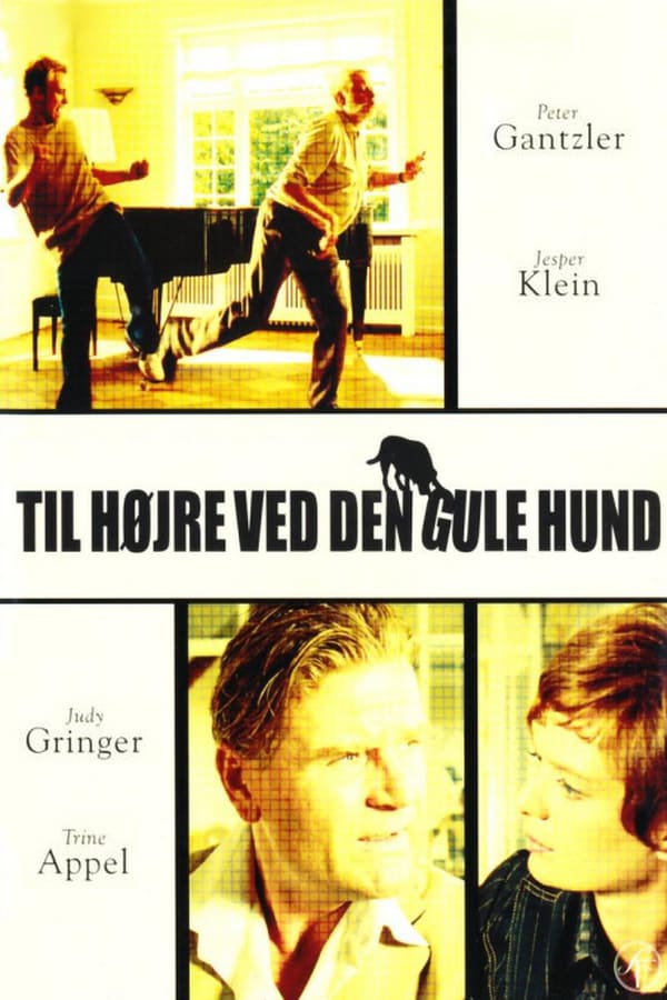 Cover of the movie Turn Right by the Yellow Dog