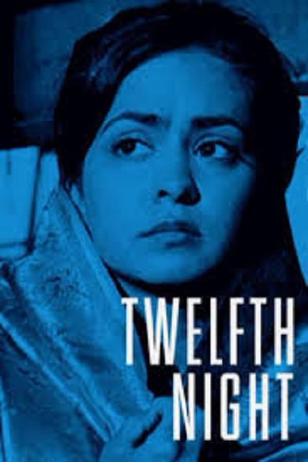 Cover of the movie Twelfth Night, or What You Will