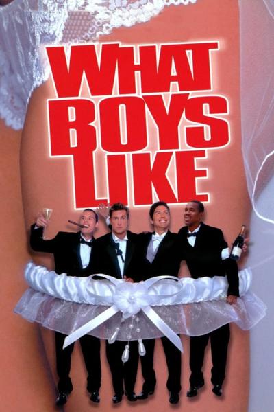 Cover of the movie What Boys Like