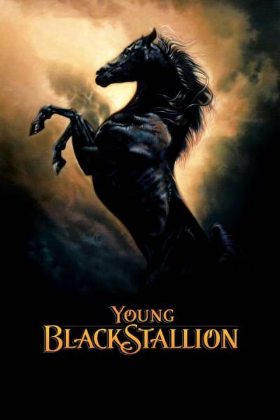 Cover of Young Black Stallion