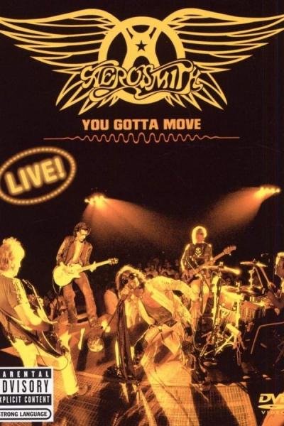 Cover of Aerosmith - You Gotta Move
