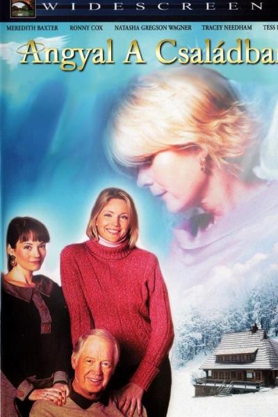 Cover of the movie Angel in the Family