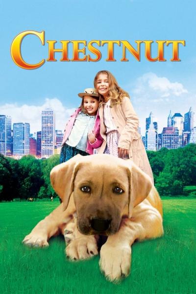 Cover of the movie Chestnut: Hero of Central Park