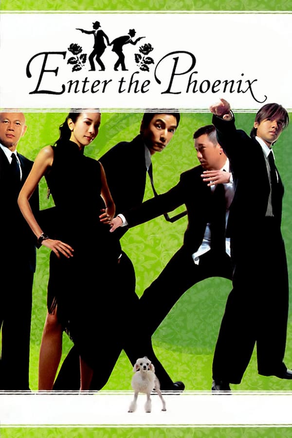 Cover of the movie Enter the Phoenix