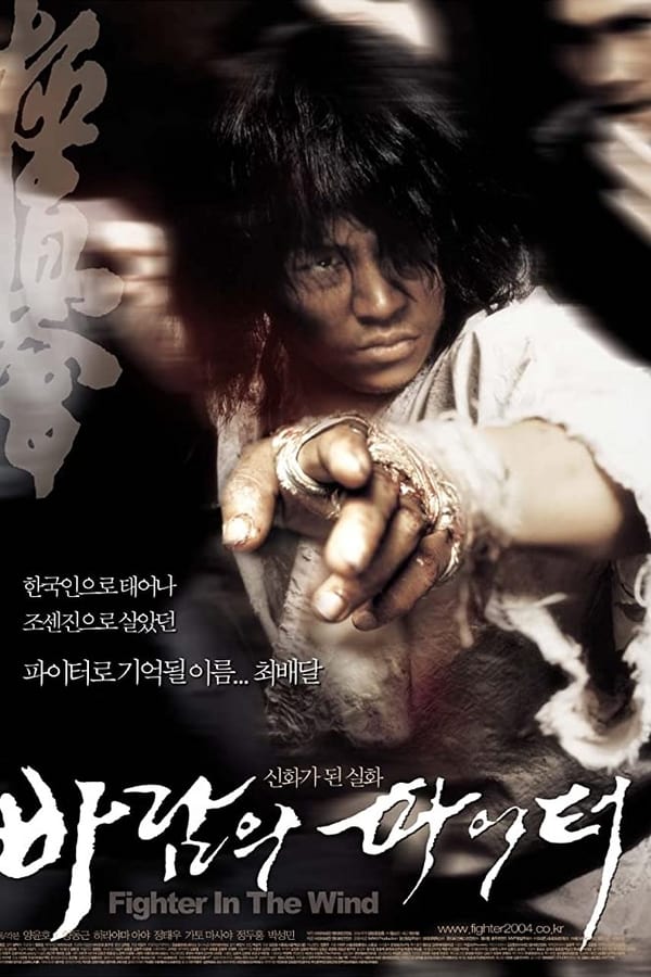 Cover of the movie Fighter in the Wind
