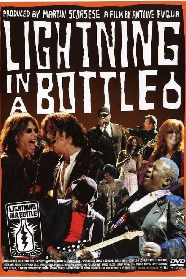 Cover of the movie Lightning in a Bottle