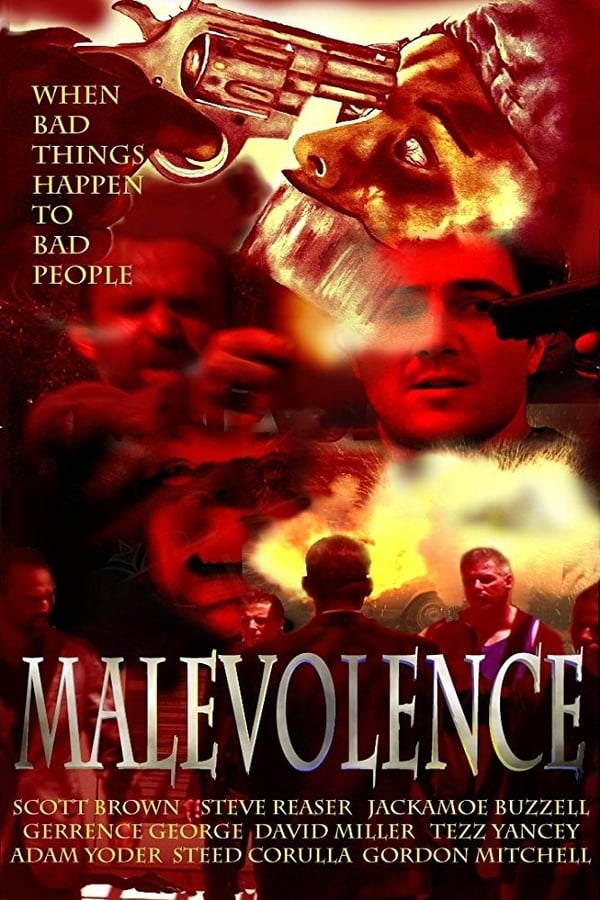 Cover of the movie Malevolence