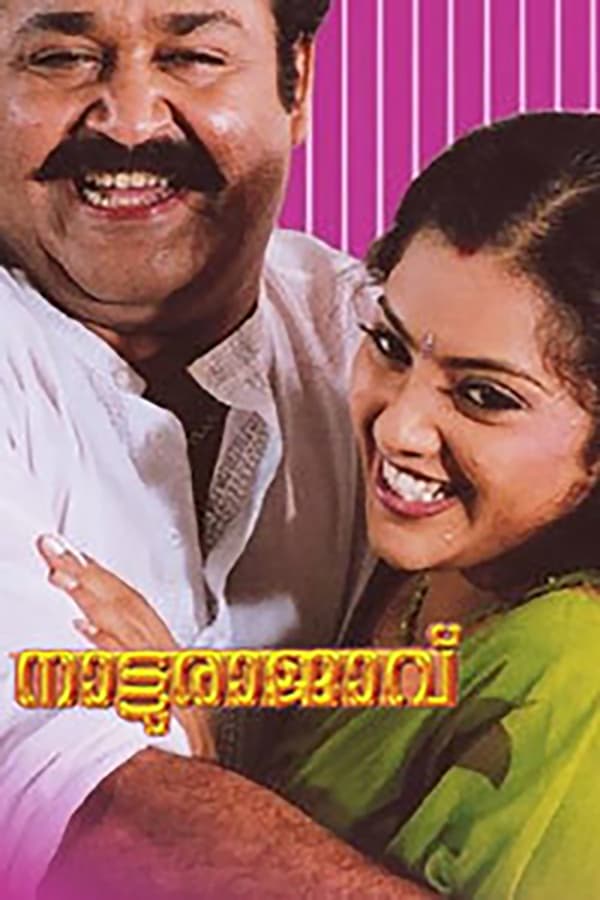 Cover of the movie Natturajavu