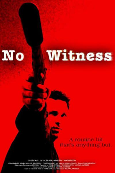Cover of No Witness