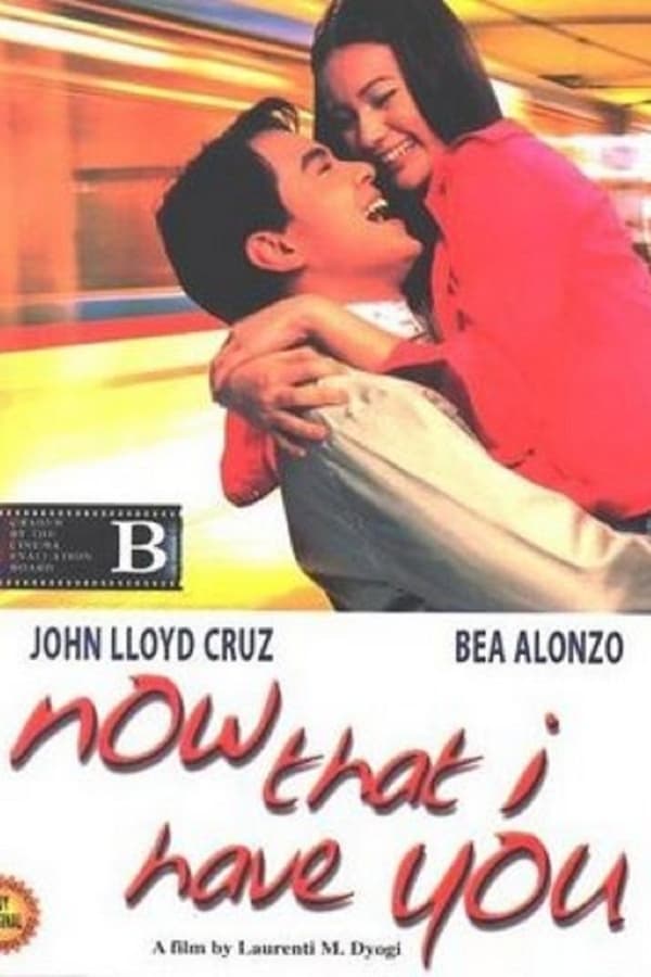 Cover of the movie Now That I Have You
