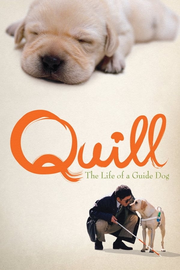 Cover of the movie Quill:  The Life of a Guide Dog