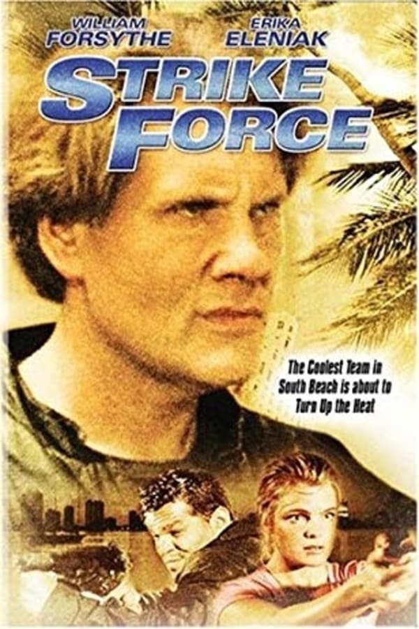 Cover of the movie The Librarians (Strike Force)