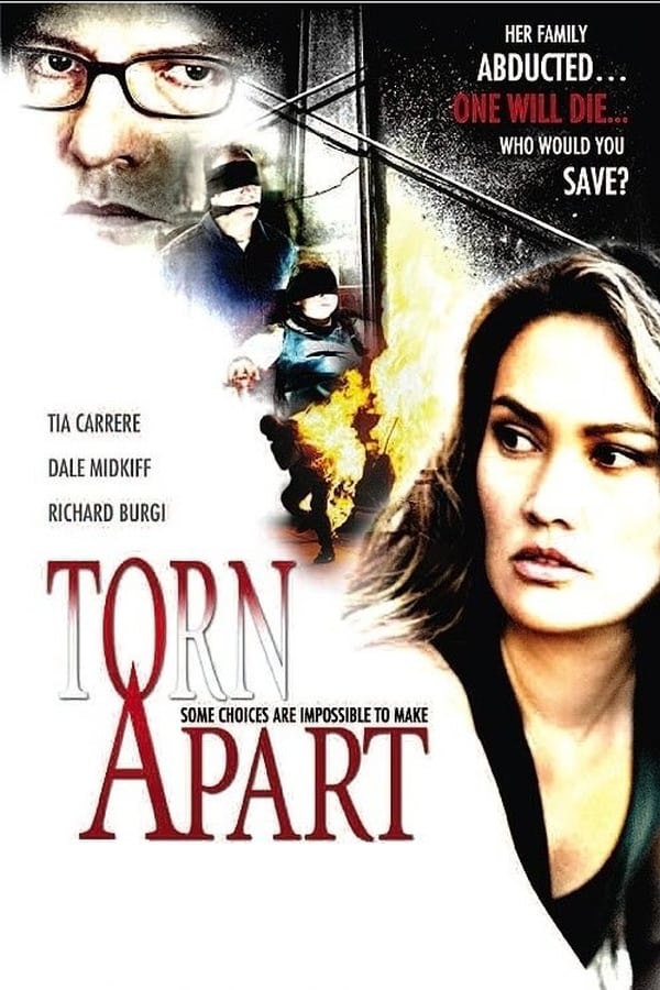 Cover of the movie Torn Apart
