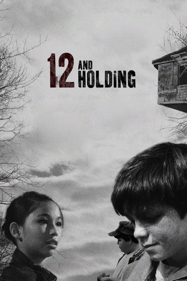 Cover of the movie 12 and Holding