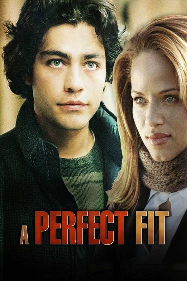 Cover of the movie A Perfect Fit